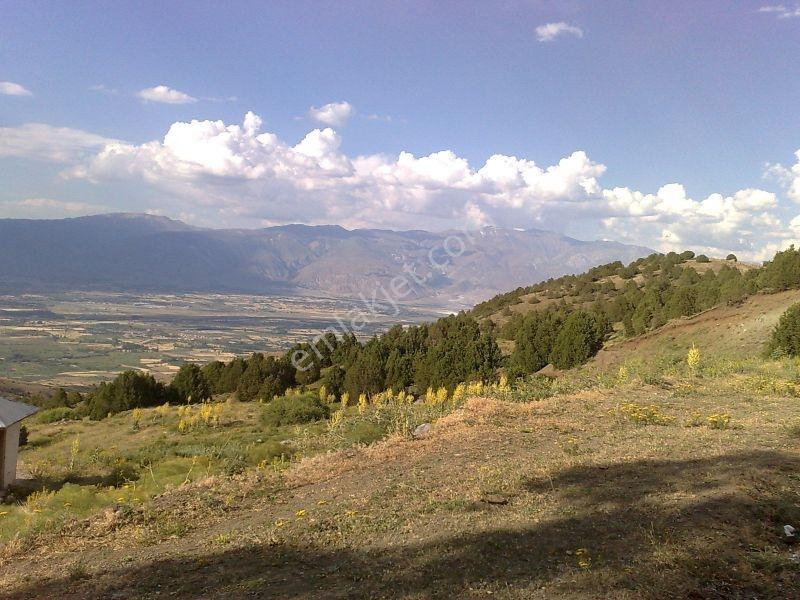 Erzincan Yaylabaşı Yola 48 M Cepheli 4062 M2 Sulu Tarla - Görsel 21