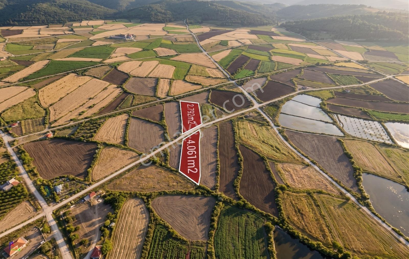 Erzincan Yaylabaşı Yola 48 M Cepheli 4062 M2 Sulu Tarla - Görsel 3