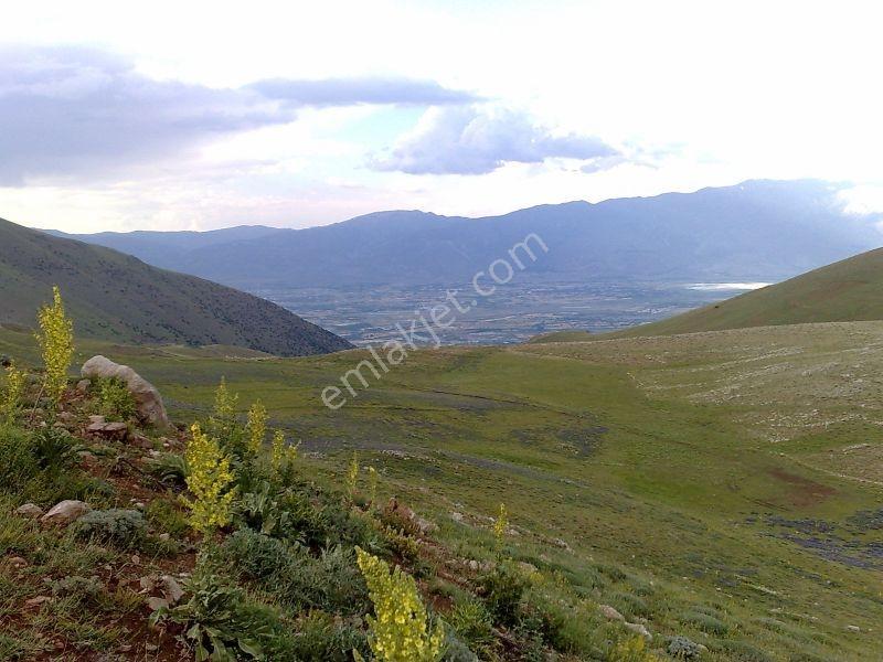 Erzincan Yaylabaşı Yola 48 M Cepheli 4062 M2 Sulu Tarla - Görsel 19