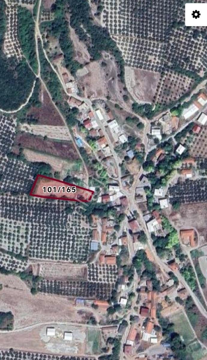 Selçuklu'dan Çamlık'da Köy Merkezinde Yatırımlık Fırsat Tarla - Görsel 3