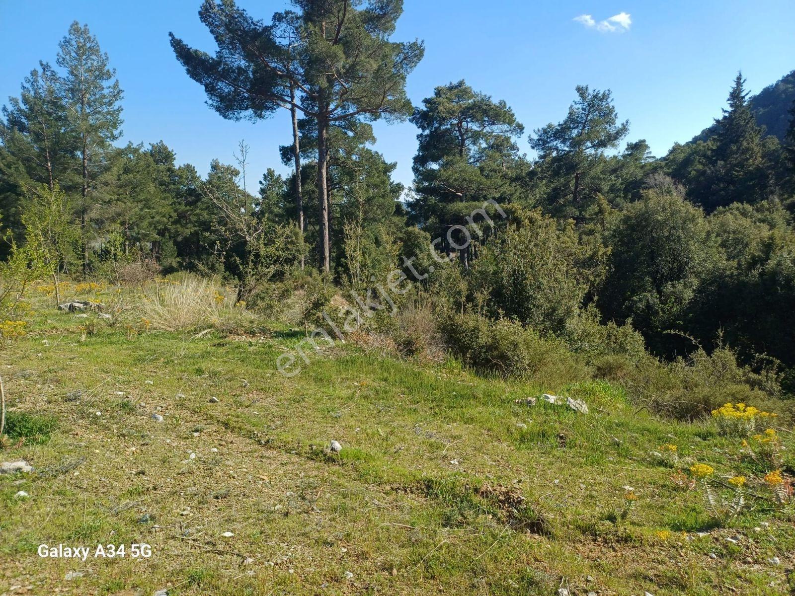 Fethiye Nif Mah.ilkon'dan Satılık Arsa - Görsel 23
