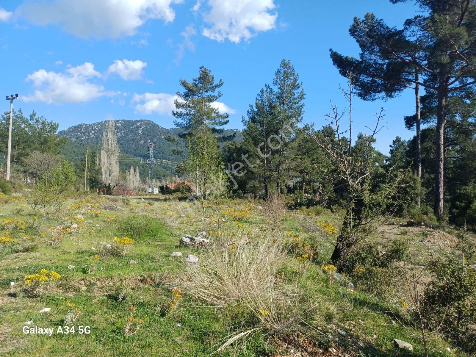 Fethiye Nif Mah.ilkon'dan Satılık Arsa - Görsel 10