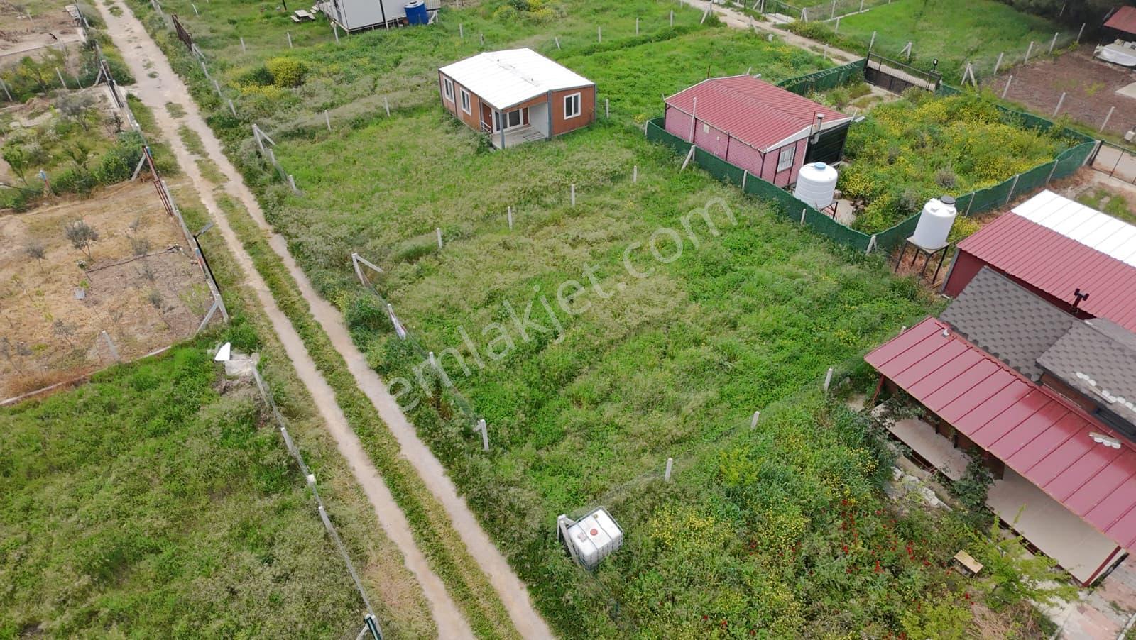 İzmir Menderes Şaşalda 300 M² Elektrik-su Hazır Ana Yola Cepheli - Görsel 7