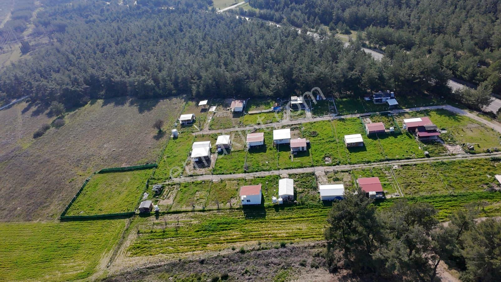 İzmir Menderes Şaşalda 300 M² Elektrik-su Hazır Ana Yola Cepheli - Görsel 11