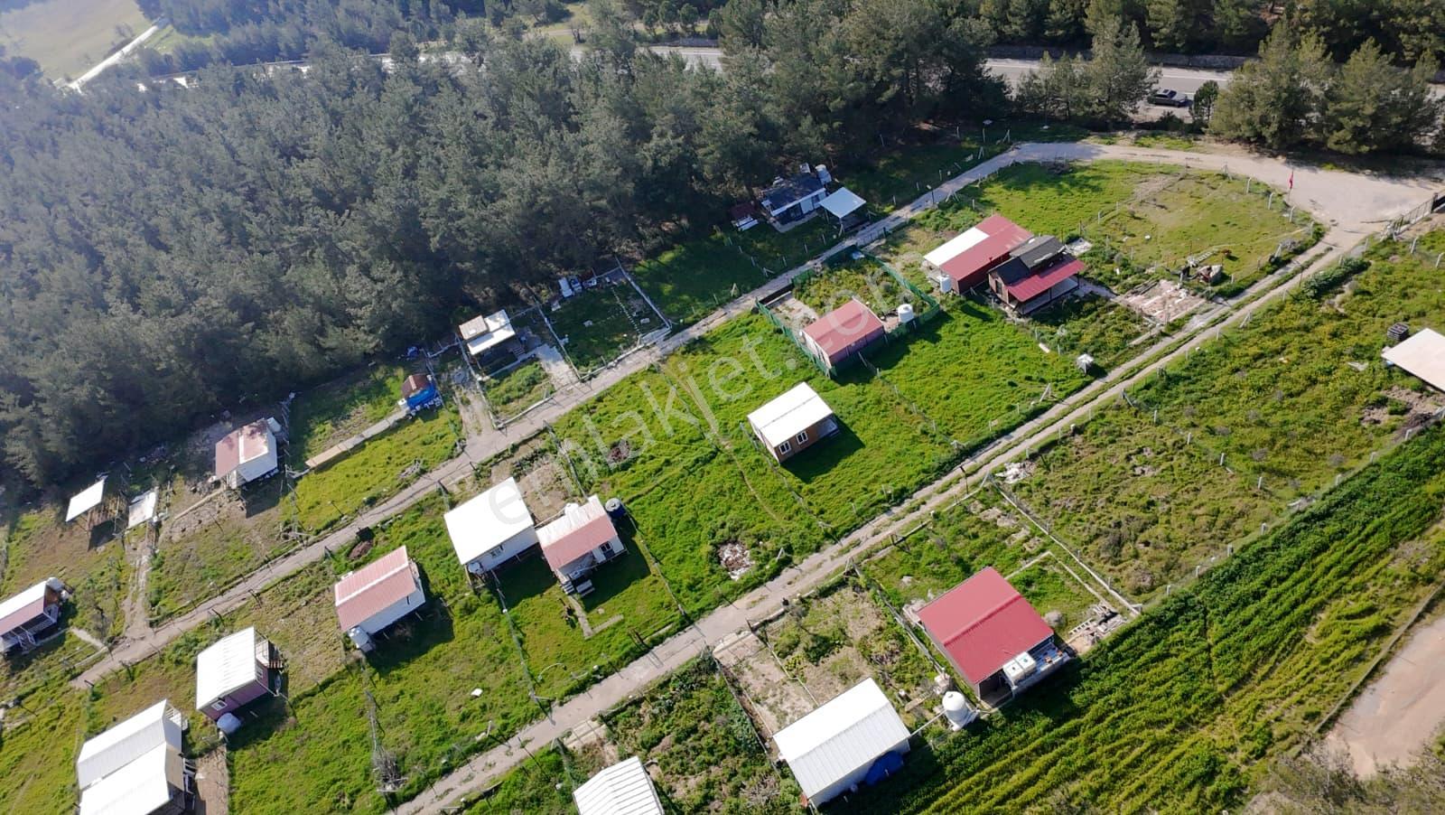 İzmir Menderes Şaşalda 300 M² Elektrik-su Hazır Ana Yola Cepheli - Görsel 9
