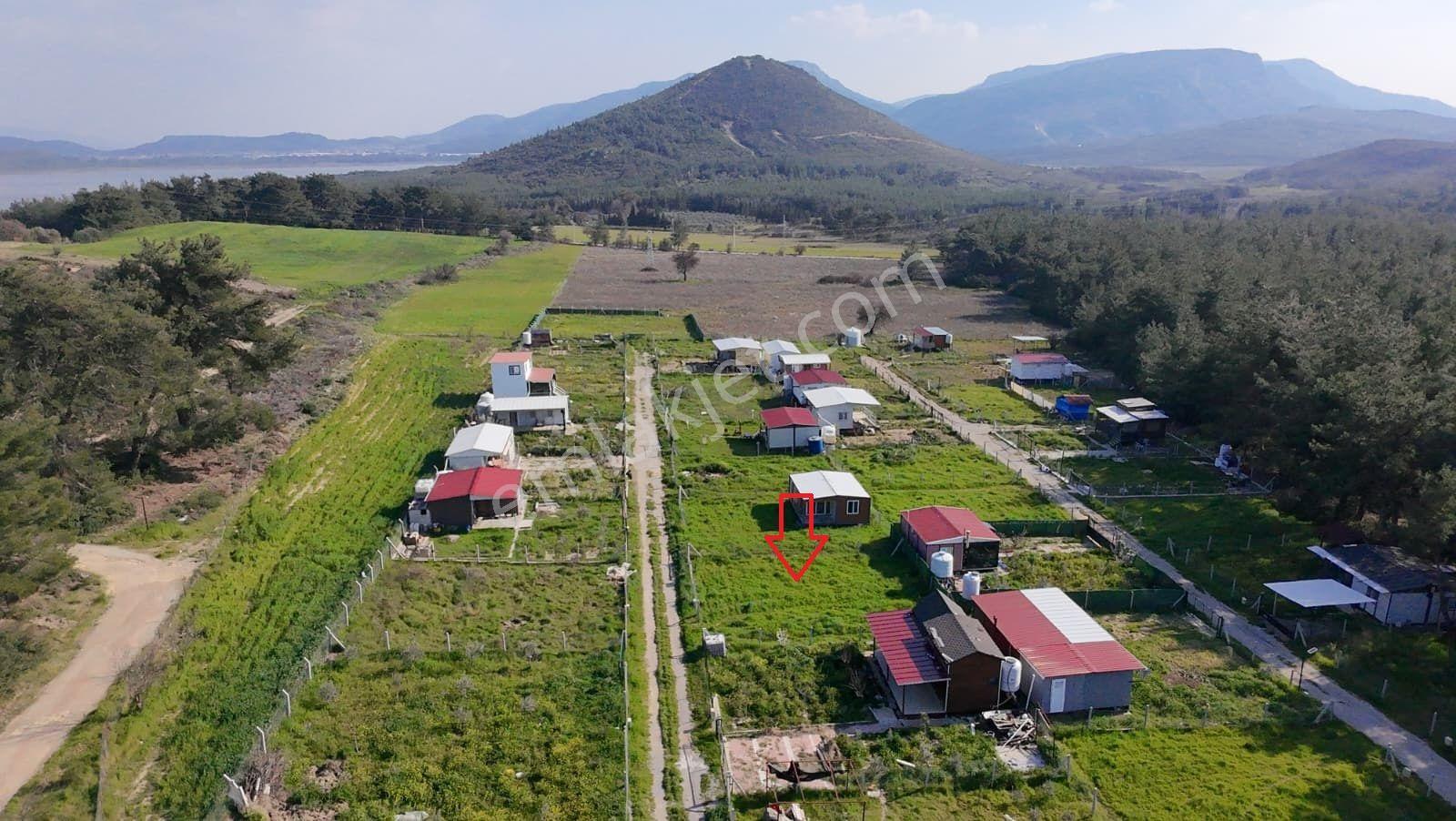 İzmir Menderes Şaşalda 300 M² Elektrik-su Hazır Ana Yola Cepheli - Görsel 6