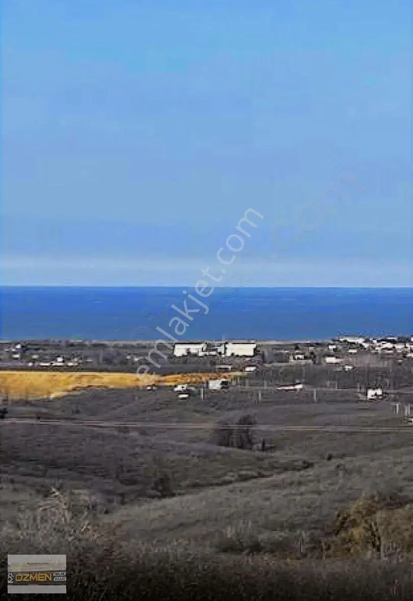 Kuyumculu Mah Ful Deniz Manzaralı Satılık Fındık Bahçesi