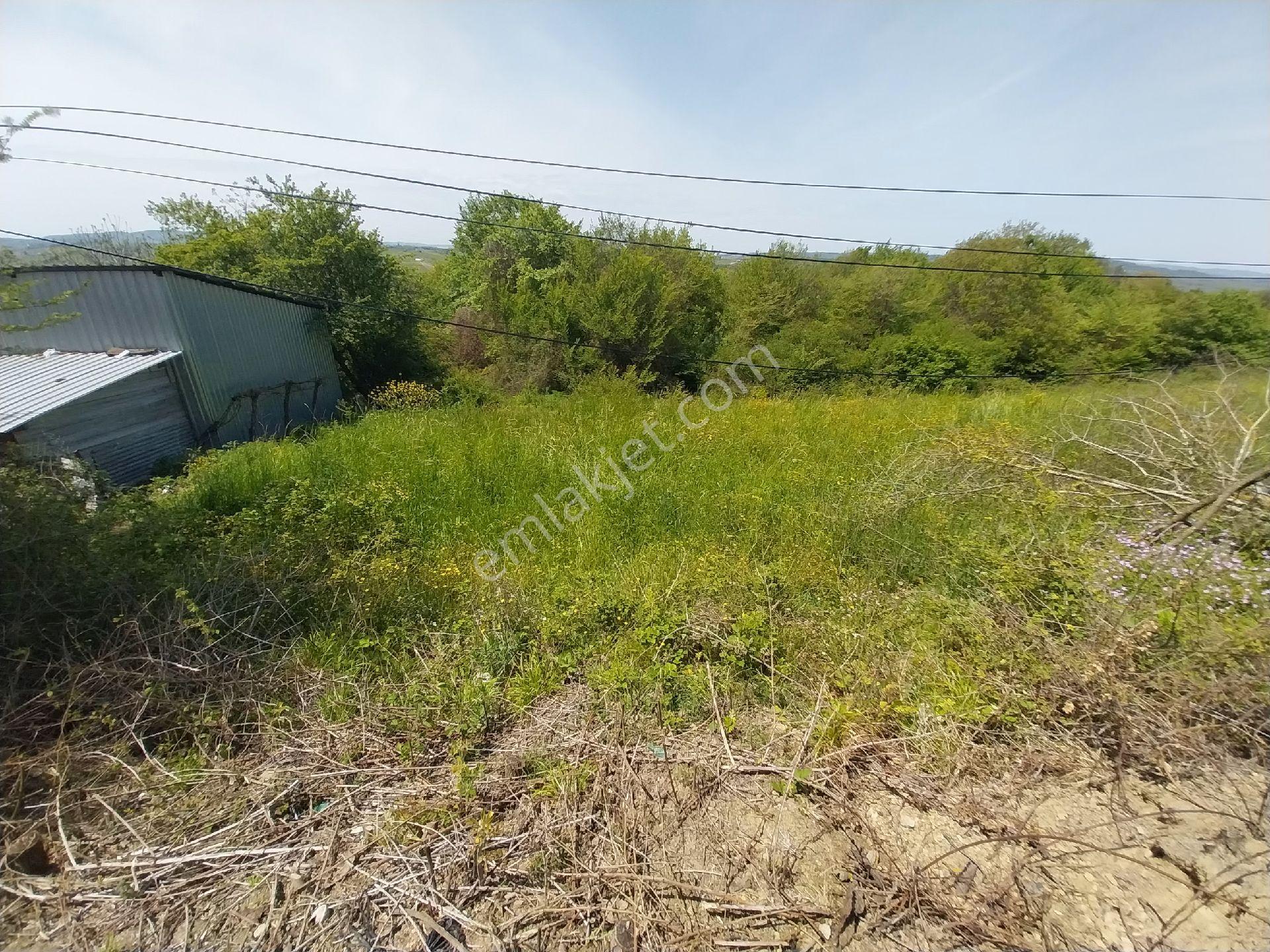 Kandıra Topluca Ana Yola Cephe %40 İmarlı Arsa - Görsel 9