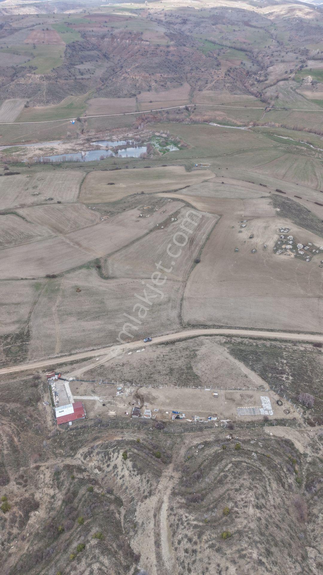 Sivas Merkez Beypınarköyü Soğuk Çermik Mevkii Tarla - Görsel 17