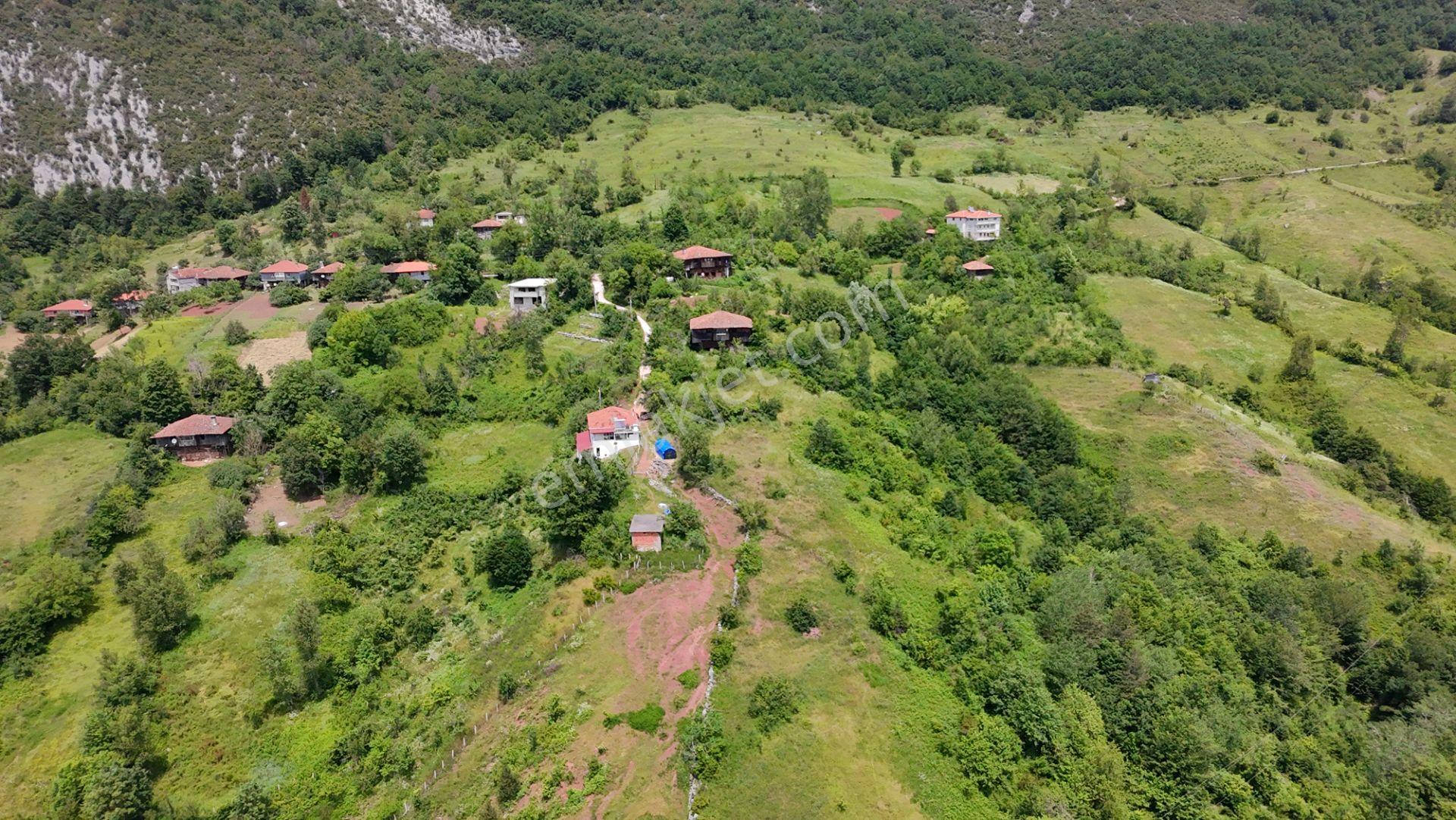 Cide Olucak Köyünde Doğa İle İç İçe Fırsat! - Görsel 8