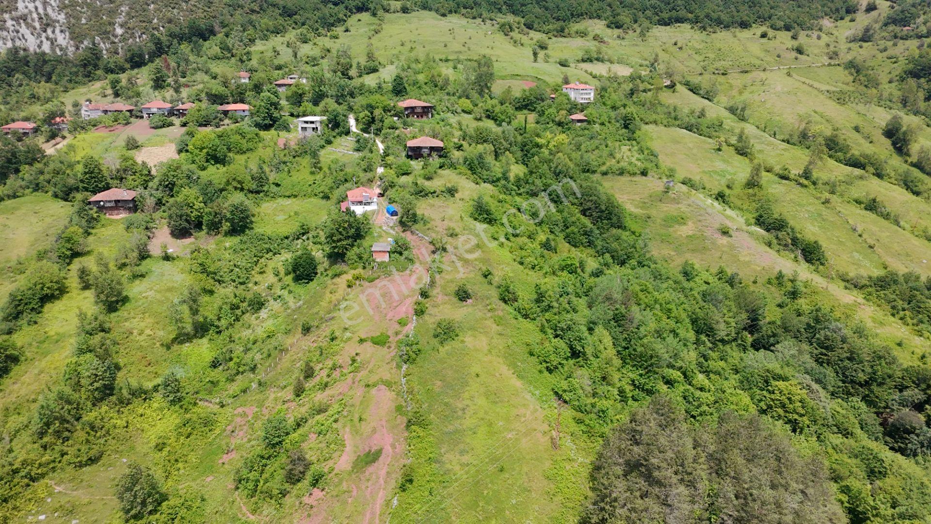 Cide Olucak Köyünde Doğa İle İç İçe Fırsat! - Görsel 6