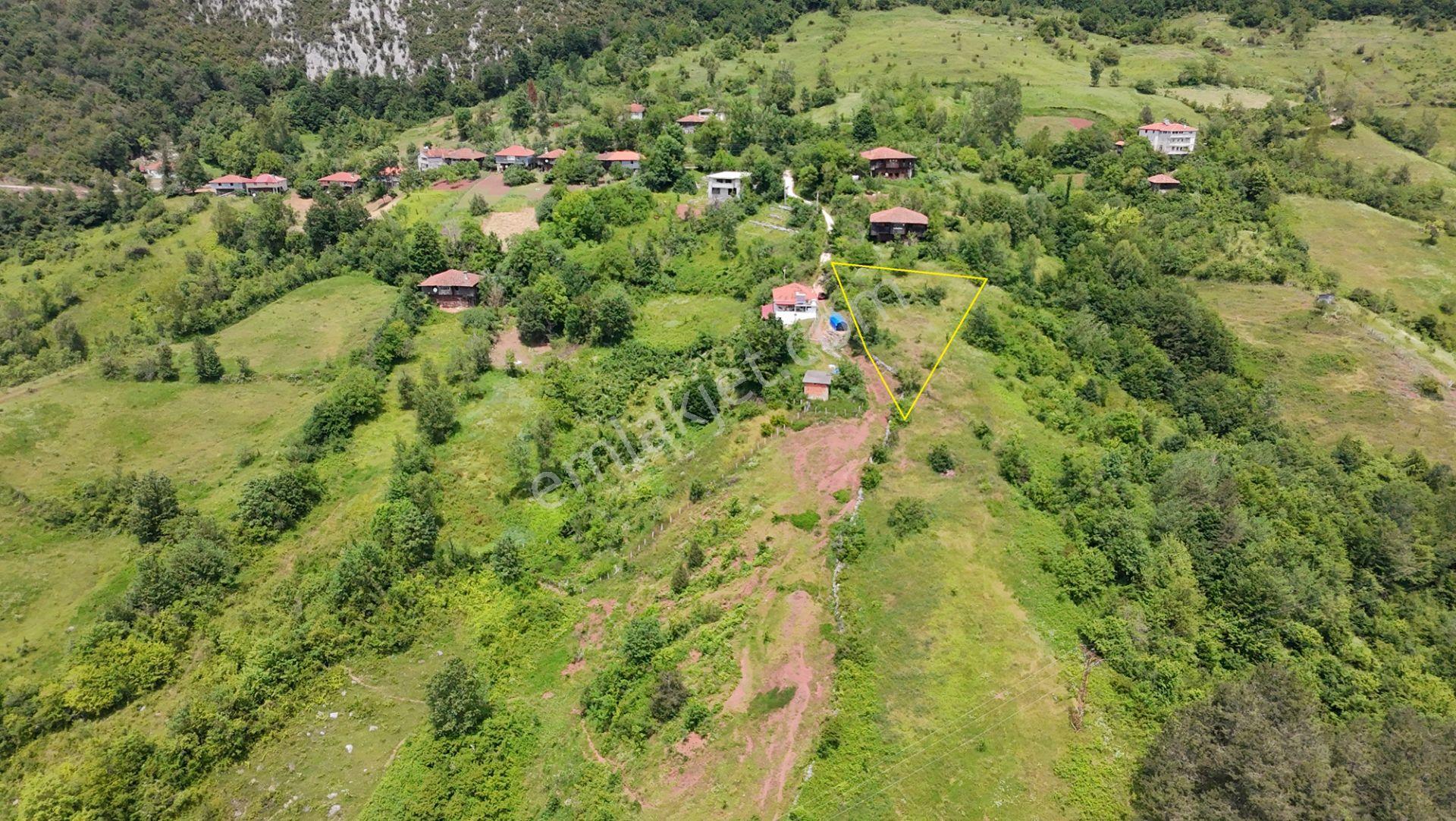 Cide Olucak Köyünde Doğa İle İç İçe Fırsat! - Görsel 7