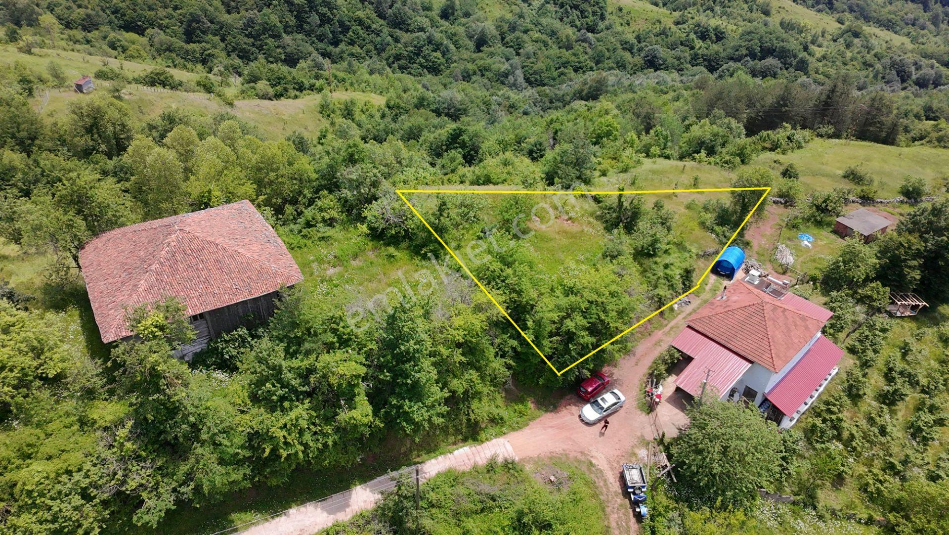 Cide Olucak Köyünde Doğa İle İç İçe Fırsat! - Görsel 4