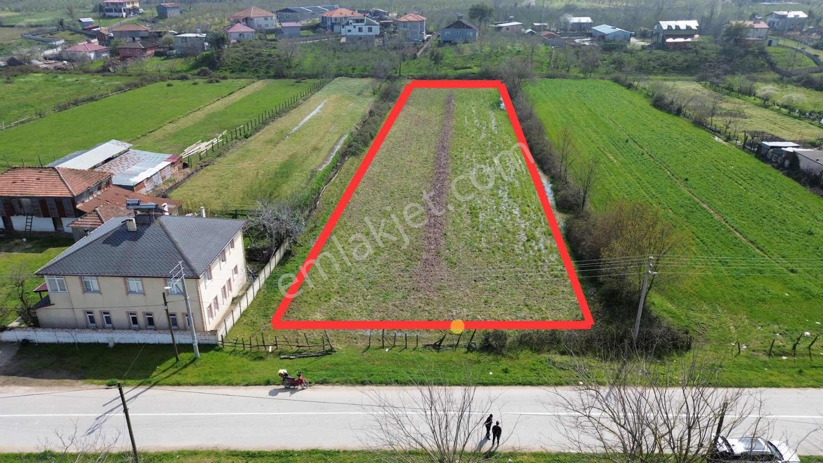 Sakarya Karasu Mahallesinde Satılık 4000 M2 Arazi - Görsel 2