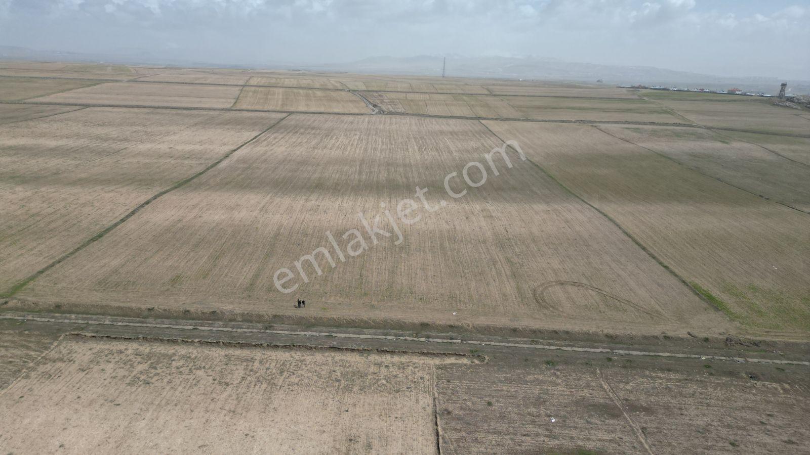 Tuşba Çitörende Göl Manzaralı, 12.738 M2 Yatırımlık Fırsat! - Görsel 9