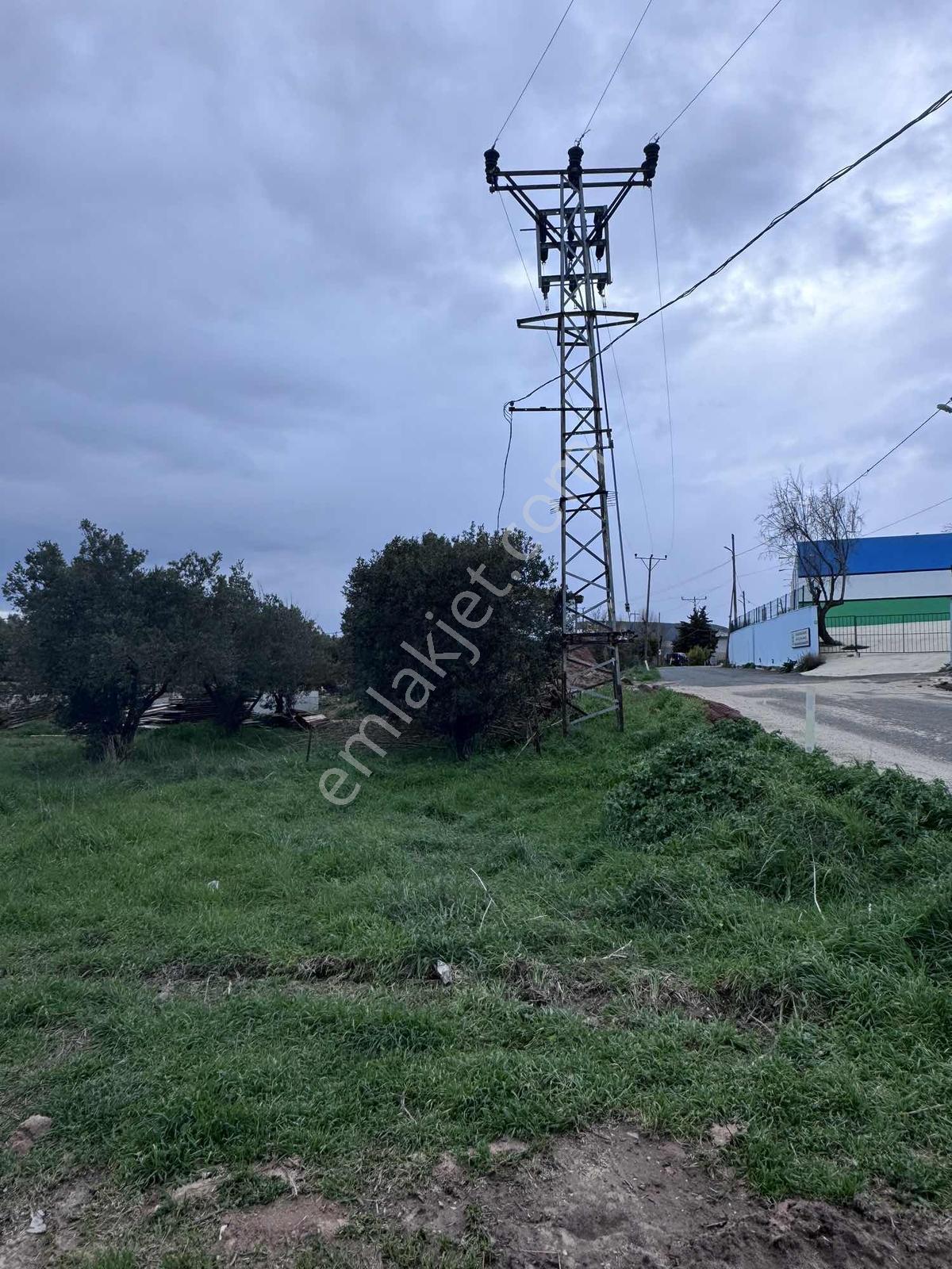 Şarköy Çınarlıda Köy İçi İmarlı Deniz Manzaralı Arsa - Görsel 2