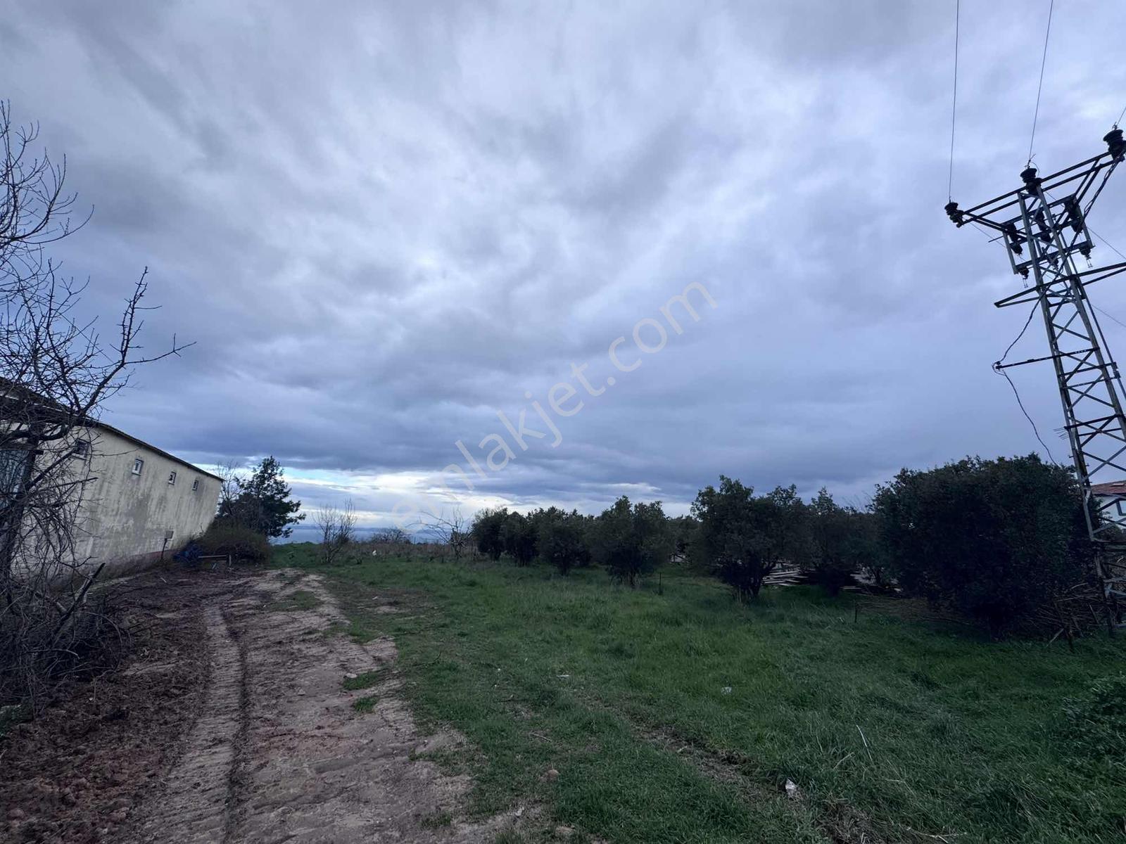 Şarköy Çınarlıda Köy İçi İmarlı Deniz Manzaralı Arsa - Görsel 4