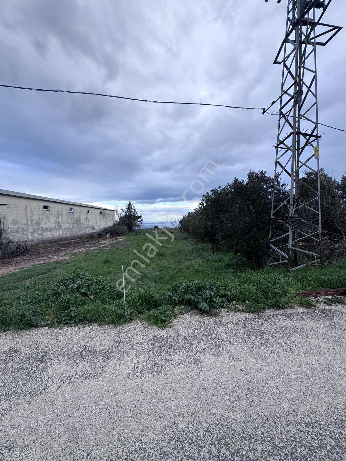 Şarköy Çınarlıda Köy İçi İmarlı Deniz Manzaralı Arsa - Görsel 3