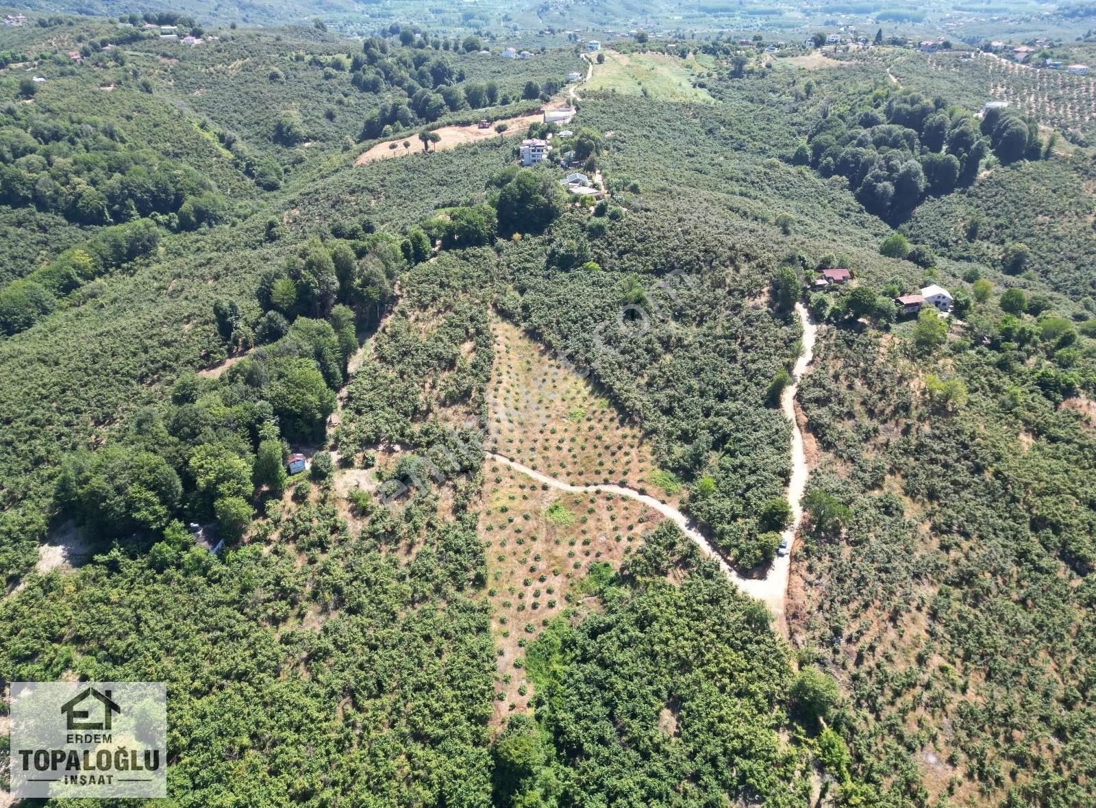 Akçakoca Hasançavuş'da Deniz Manzaralı İmarlı Satılık Arsa - Görsel 8
