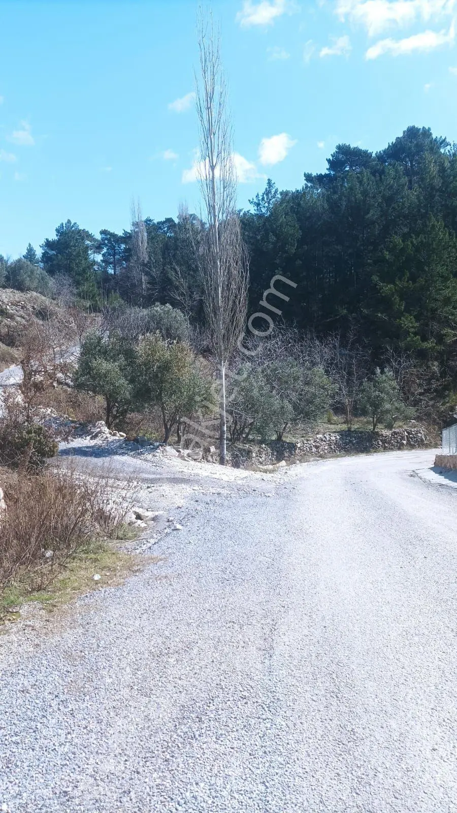 Alanya Bademağacı Mahallesi Satılık Tarla - Görsel 3