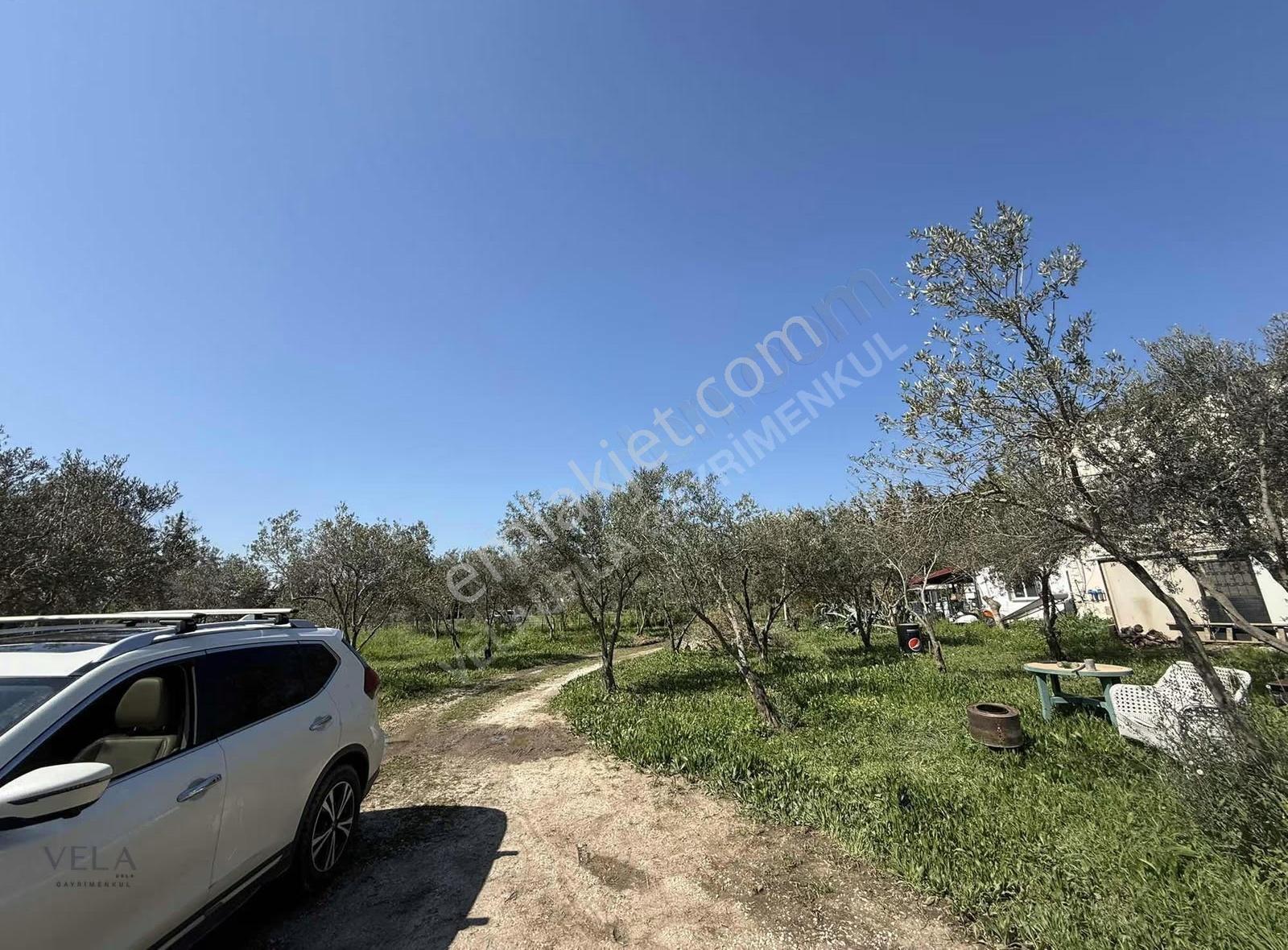 Urla İskele Eşyasız Kiralık Müstakil Ev 2+1, 50m² - Görsel 3