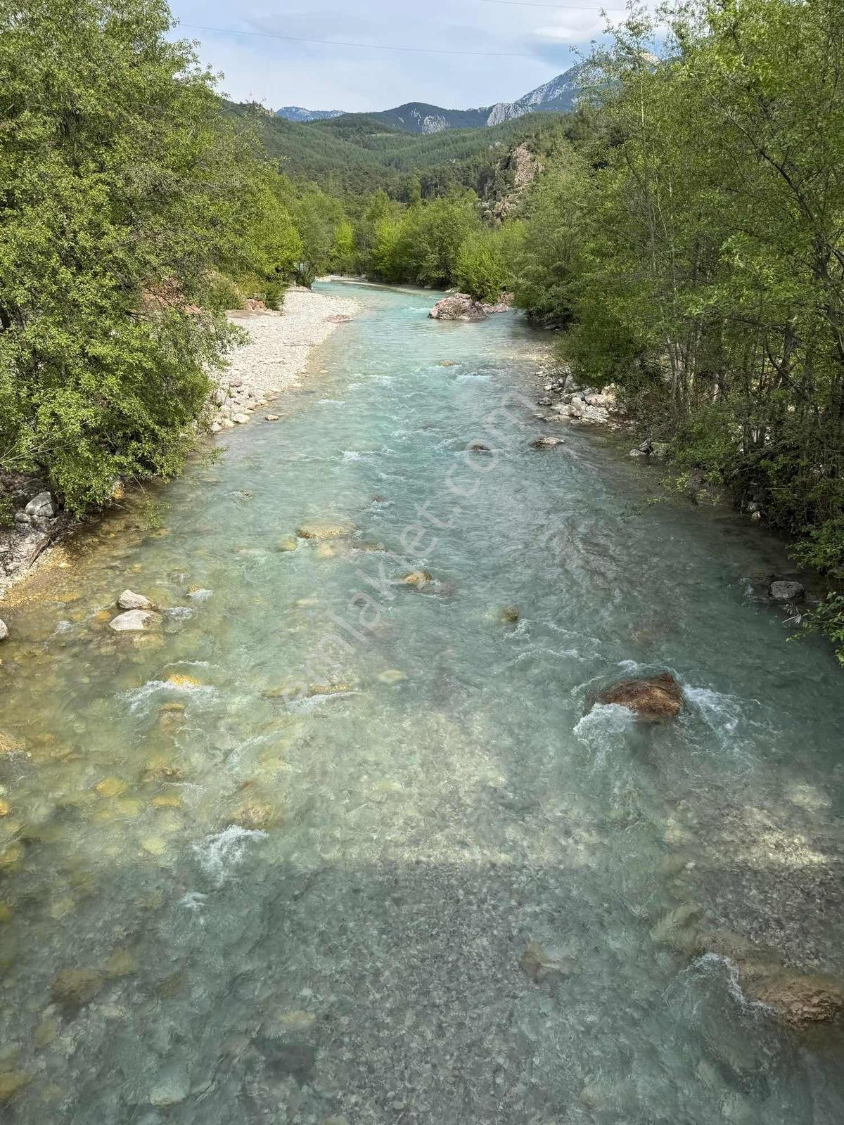 Serik Hasgebe'de Satılık Zeytinlik Ve Bağ Evi - Görsel 2