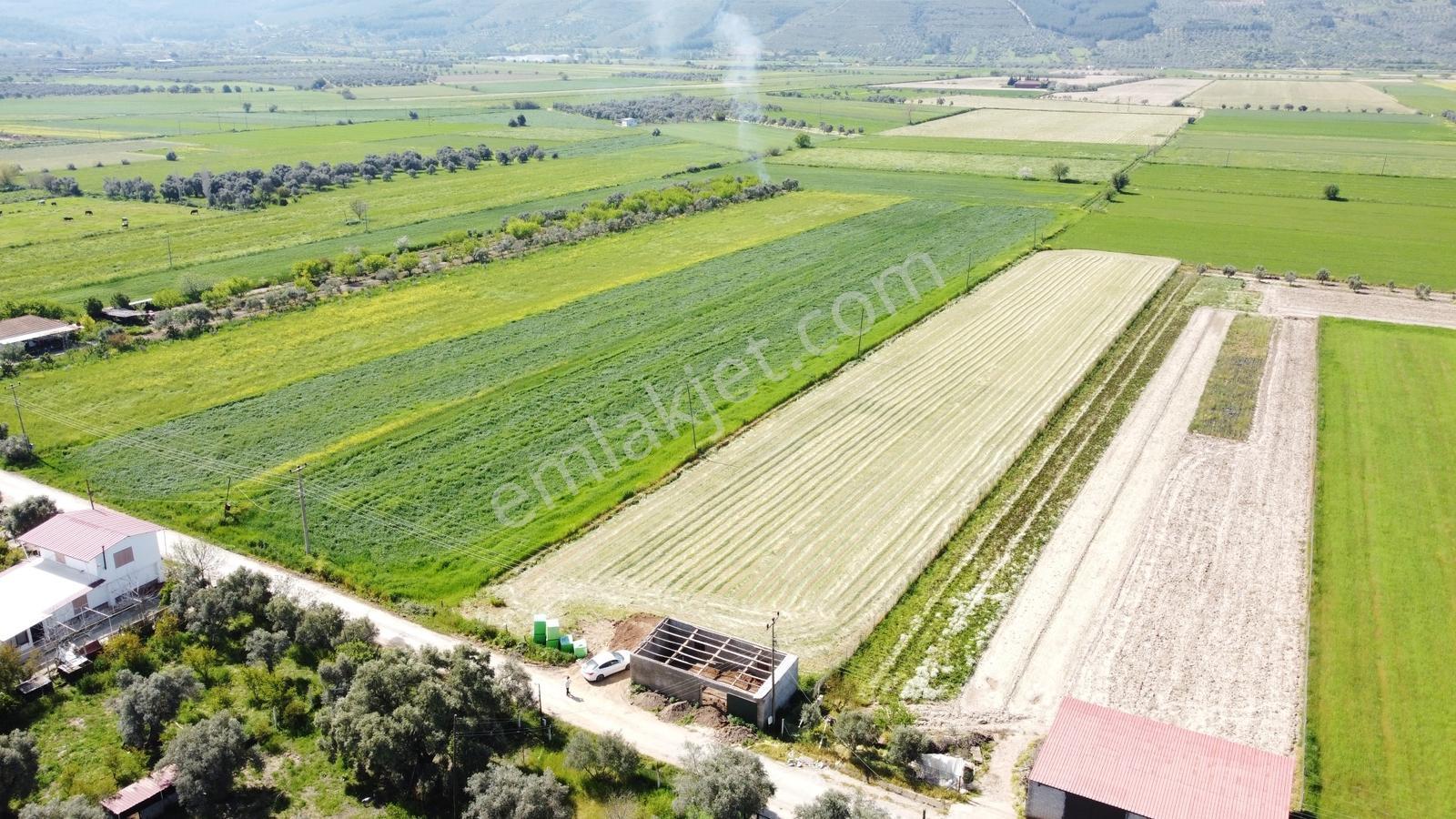 Milas Ağaçlıhöyük Koru Arasında Kiralık Depo-atölye İşyeri !!! - Görsel 7