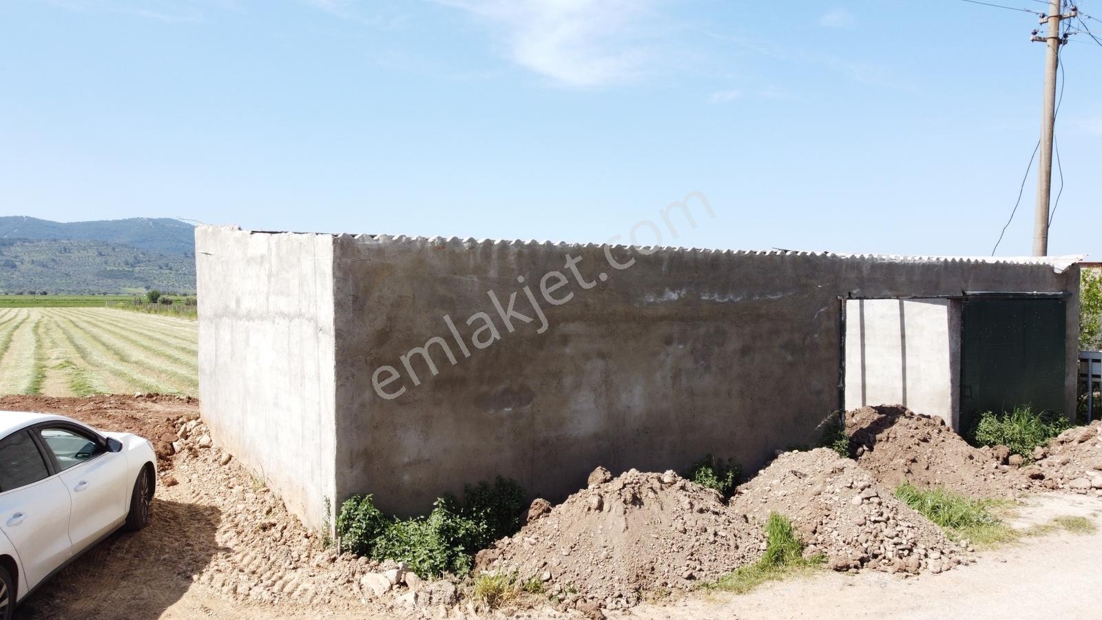 Milas Ağaçlıhöyük Koru Arasında Kiralık Depo-atölye İşyeri !!! - Görsel 3