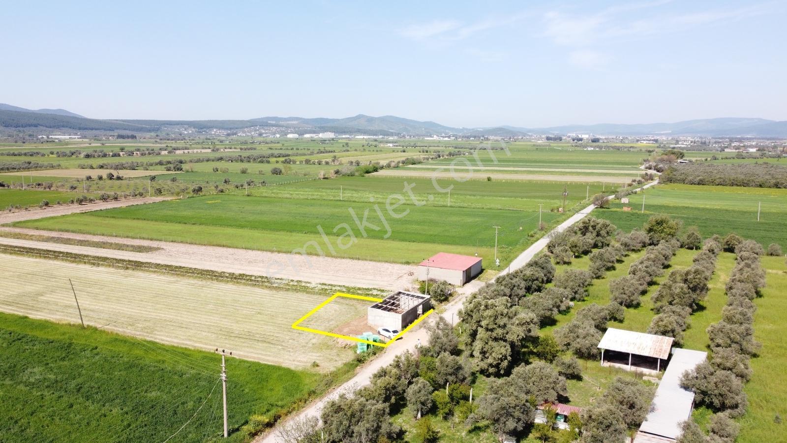 Milas Ağaçlıhöyük Koru Arasında Kiralık Depo-atölye İşyeri !!!