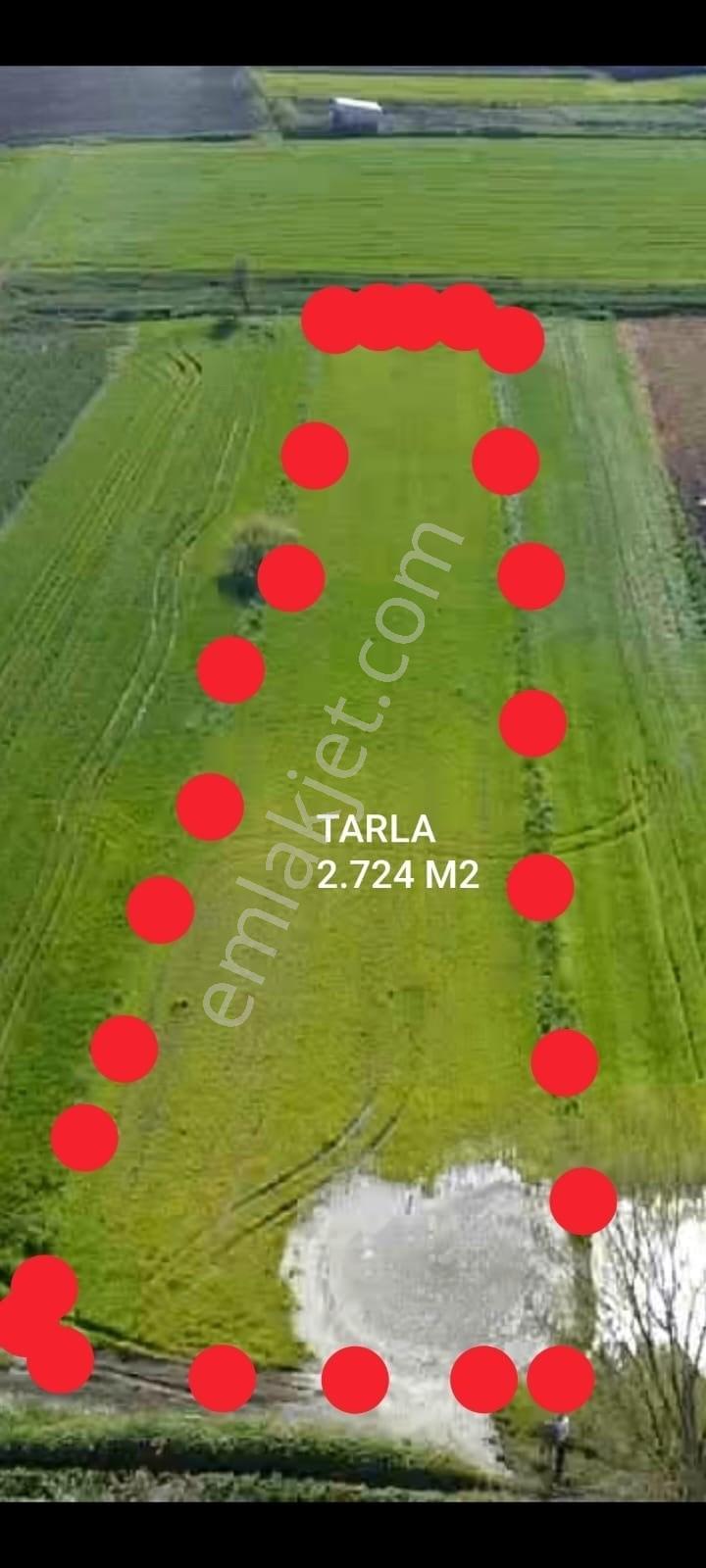 Balıkesir Gönen Paşaçiftlik Mahallesinde Yarı İmarlı Satılık Tarla