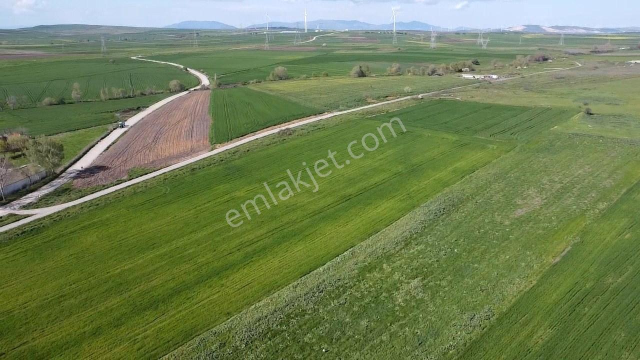 Balıkesir Gönen Paşaçiftlik Mahallesinde Yarı İmarlı Satılık Tarla - Görsel 9