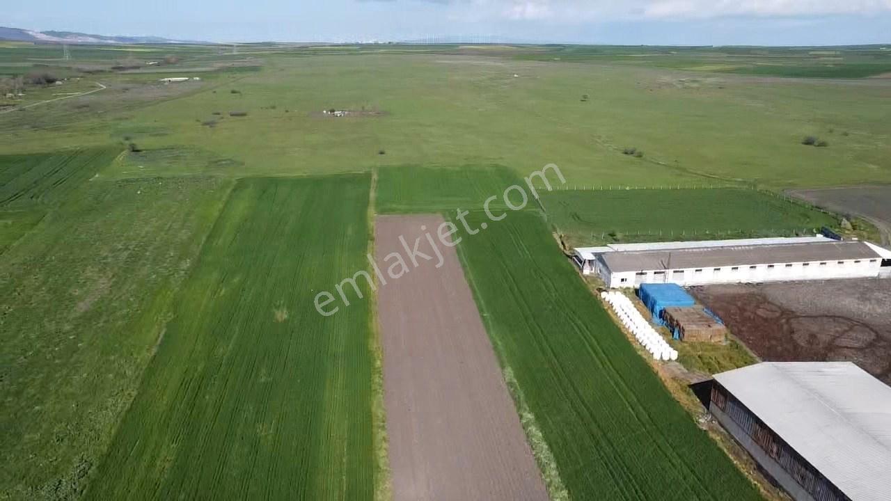 Balıkesir Gönen Paşaçiftlik Mahallesinde Yarı İmarlı Satılık Tarla - Görsel 11