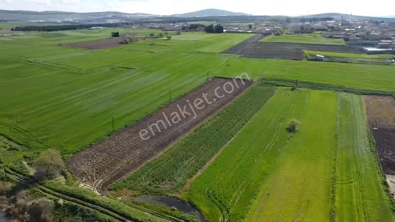 Balıkesir Gönen Paşaçiftlik Mahallesinde Yarı İmarlı Satılık Tarla - Görsel 10