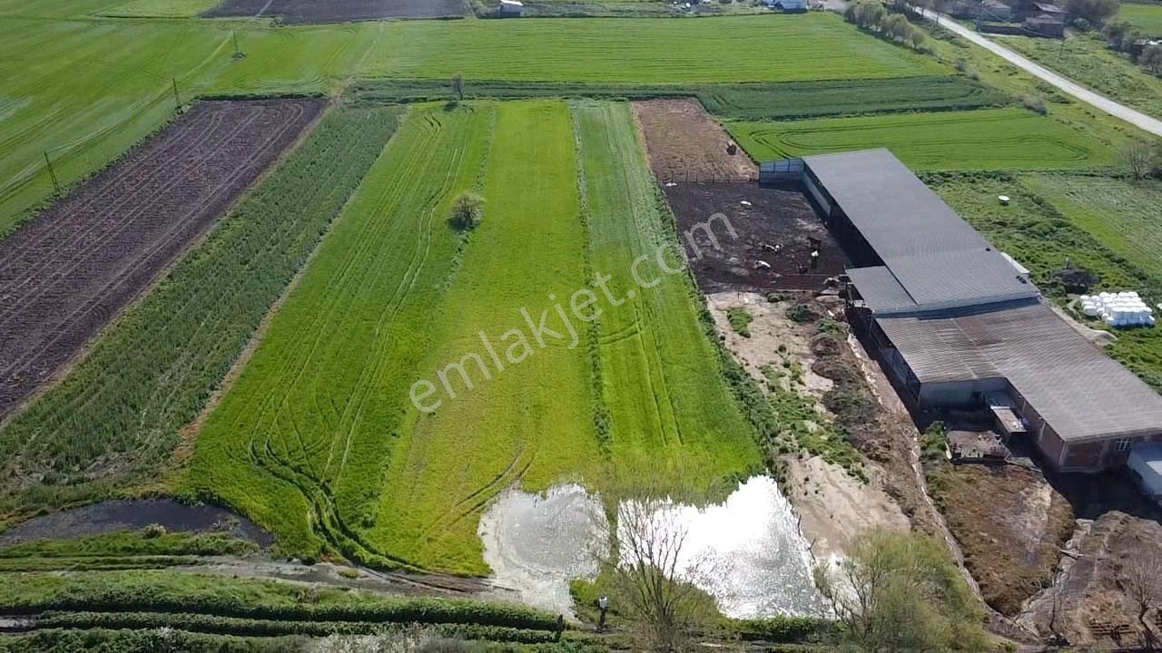 Balıkesir Gönen Paşaçiftlik Mahallesinde Yarı İmarlı Satılık Tarla - Görsel 22