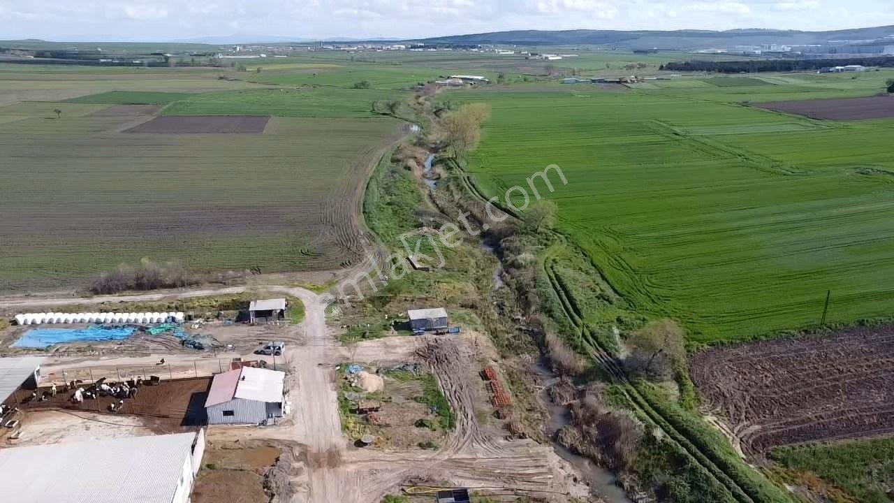 Balıkesir Gönen Paşaçiftlik Mahallesinde Yarı İmarlı Satılık Tarla - Görsel 15