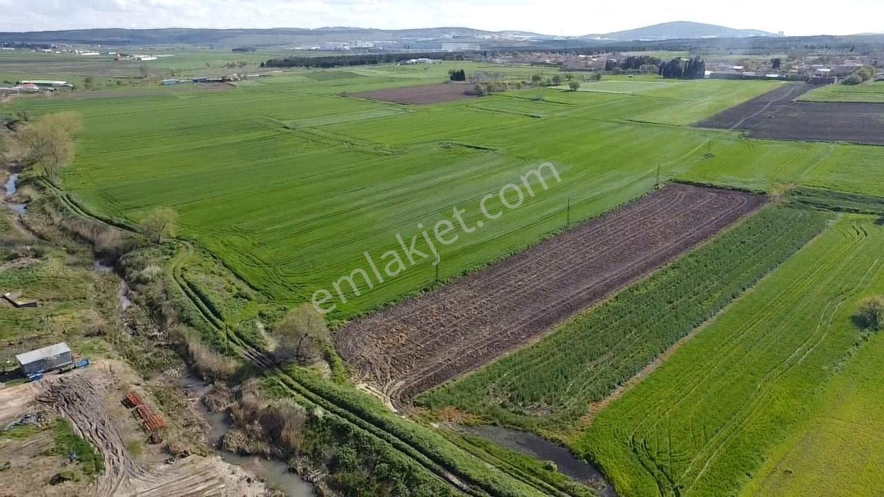 Balıkesir Gönen Paşaçiftlik Mahallesinde Yarı İmarlı Satılık Tarla - Görsel 12
