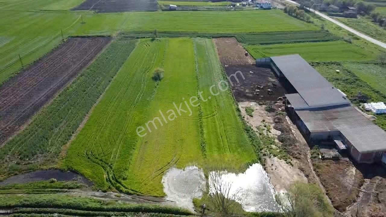 Balıkesir Gönen Paşaçiftlik Mahallesinde Yarı İmarlı Satılık Tarla - Görsel 17
