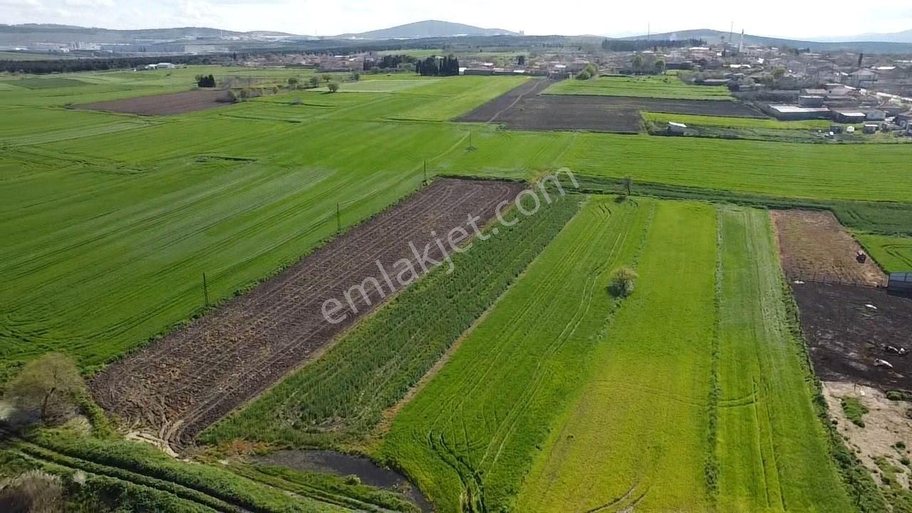 Balıkesir Gönen Paşaçiftlik Mahallesinde Yarı İmarlı Satılık Tarla - Görsel 13