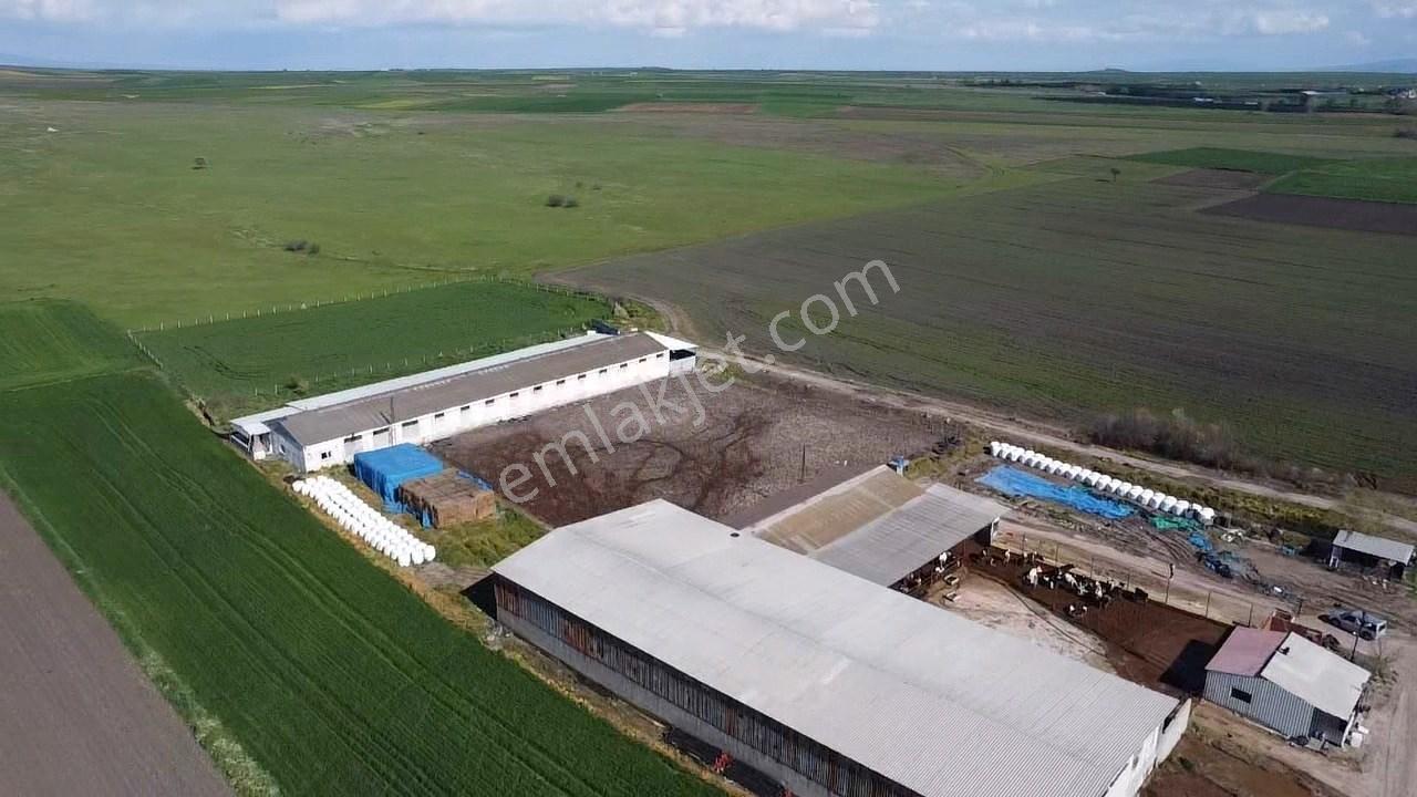 Balıkesir Gönen Paşaçiftlik Mahallesinde Yarı İmarlı Satılık Tarla - Görsel 7