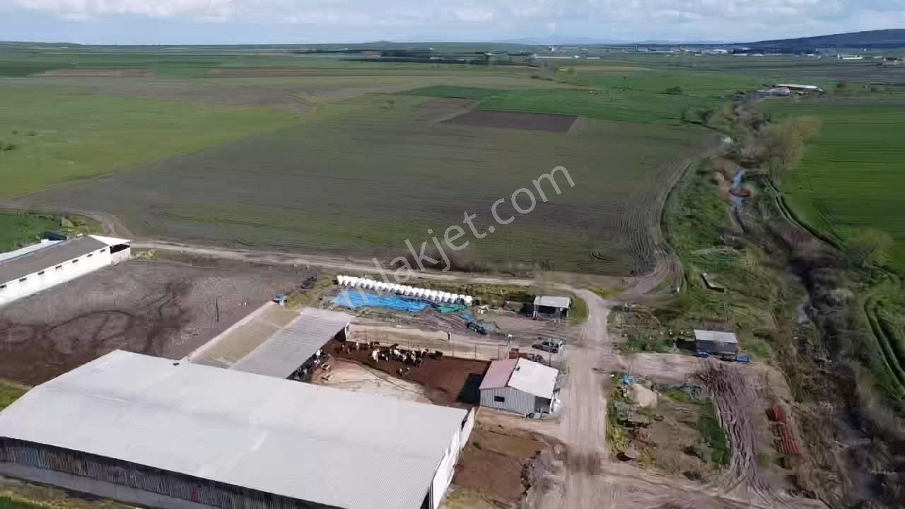 Balıkesir Gönen Paşaçiftlik Mahallesinde Yarı İmarlı Satılık Tarla - Görsel 6