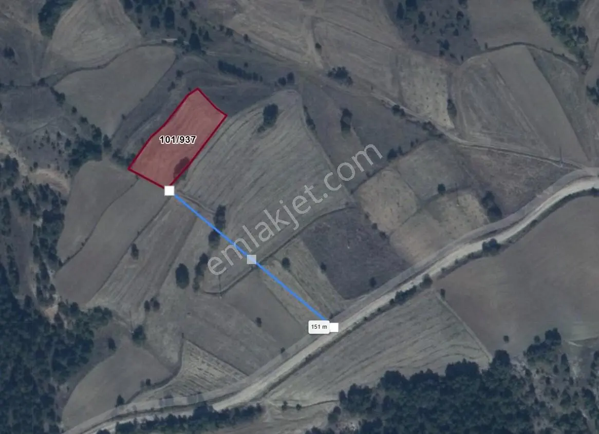 Ekşioğlu Gyd'den Yenipazar Kösüre Köyünde 2200m2 Satılık Tarla - Görsel 3