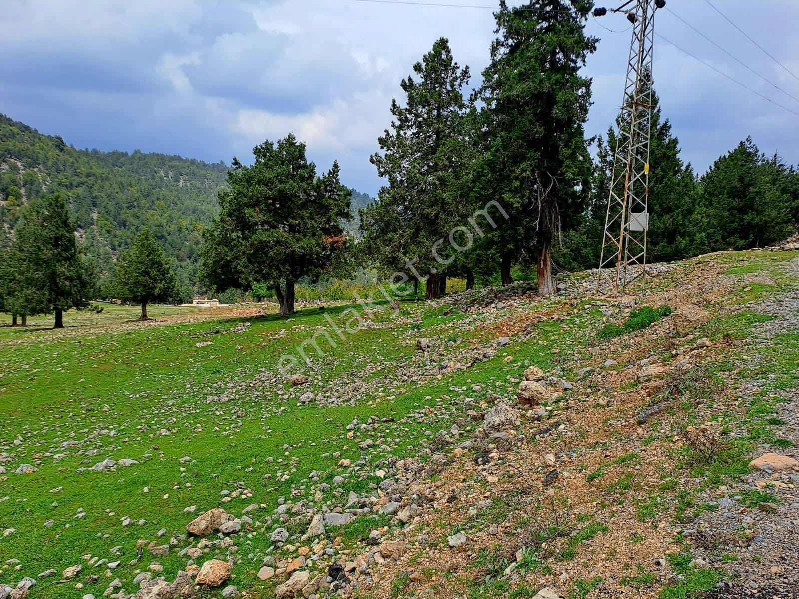 Toroslarda Satılık Ikı Parsel Tarla - Görsel 6