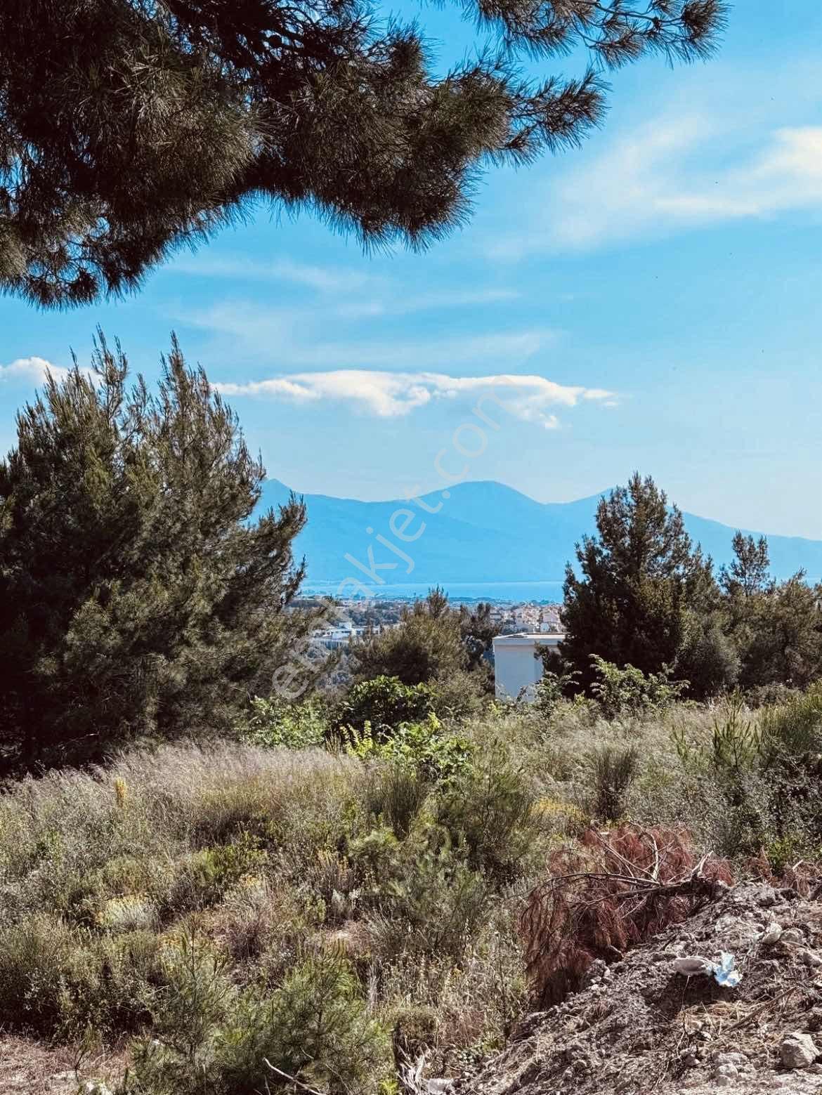 Kuşadası Soğucakta Deniz Manzaralı Villa Arsası