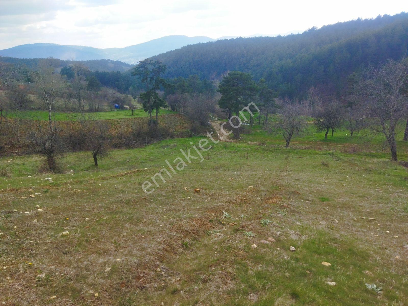 Osmangazi Büyükdeliller Köyünde Satılık 5.639 M2 Tarla - Görsel 13