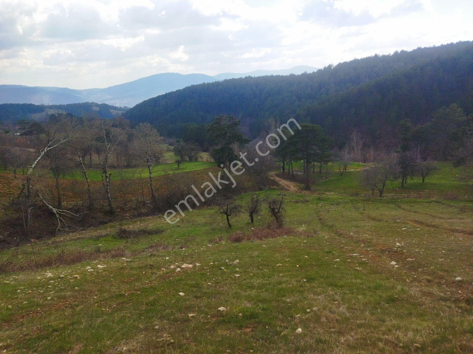 Osmangazi Büyükdeliller Köyünde Satılık 5.639 M2 Tarla - Görsel 4