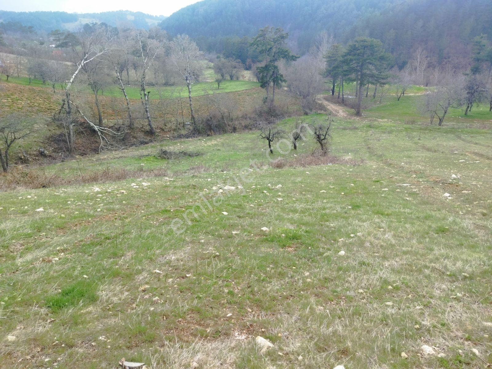 Osmangazi Büyükdeliller Köyünde Satılık 5.639 M2 Tarla - Görsel 22