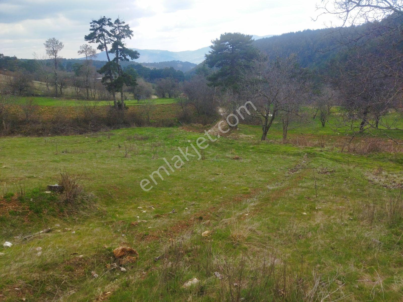 Osmangazi Büyükdeliller Köyünde Satılık 5.639 M2 Tarla - Görsel 15