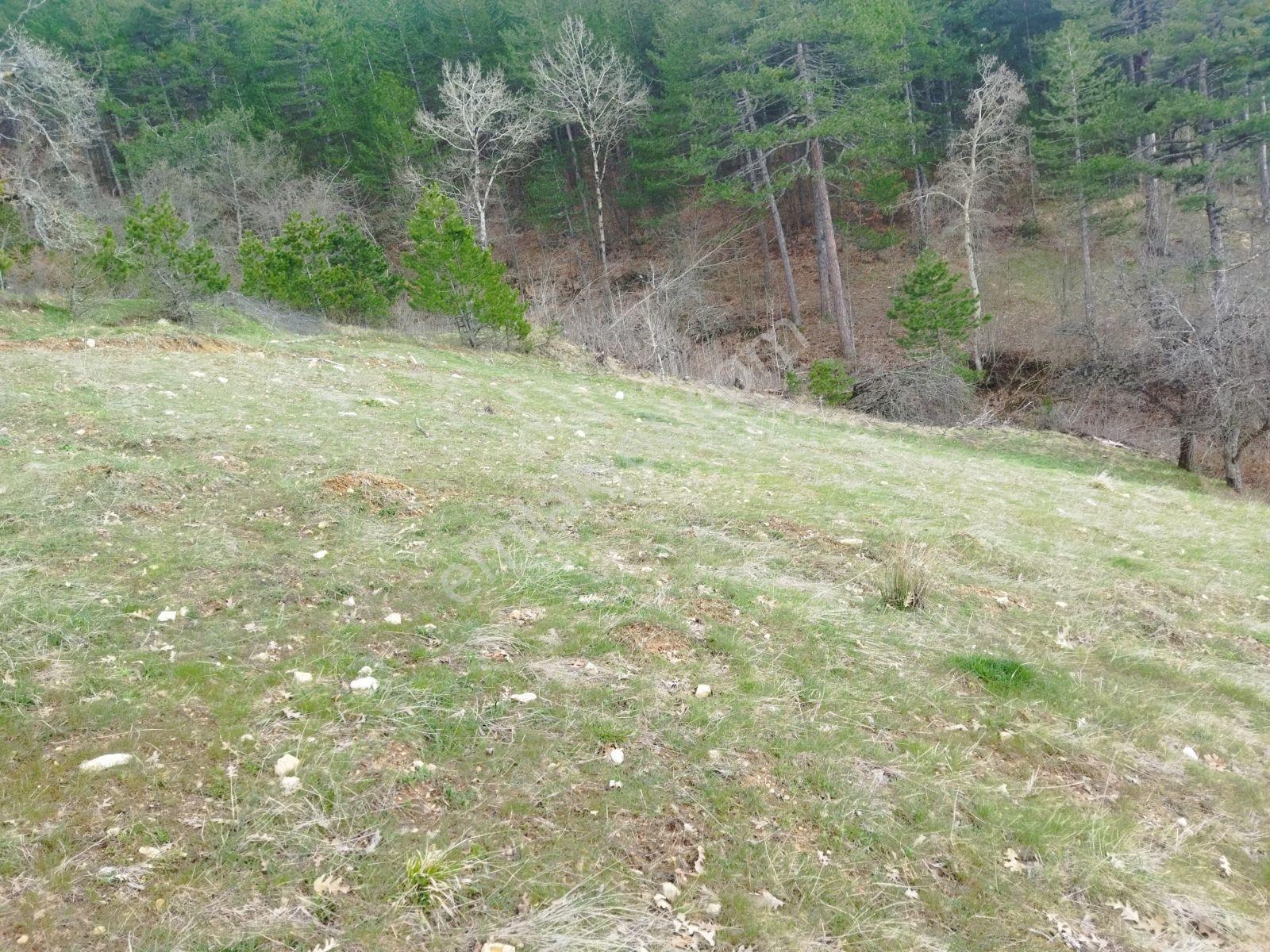 Osmangazi Büyükdeliller Köyünde Satılık 5.639 M2 Tarla - Görsel 21