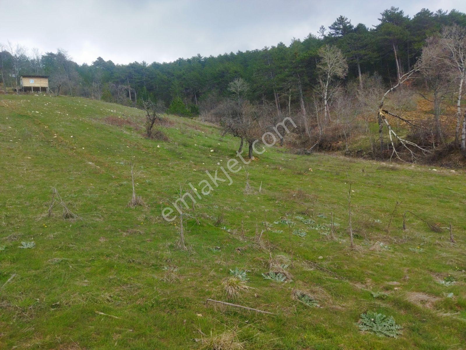 Osmangazi Büyükdeliller Köyünde Satılık 5.639 M2 Tarla - Görsel 32