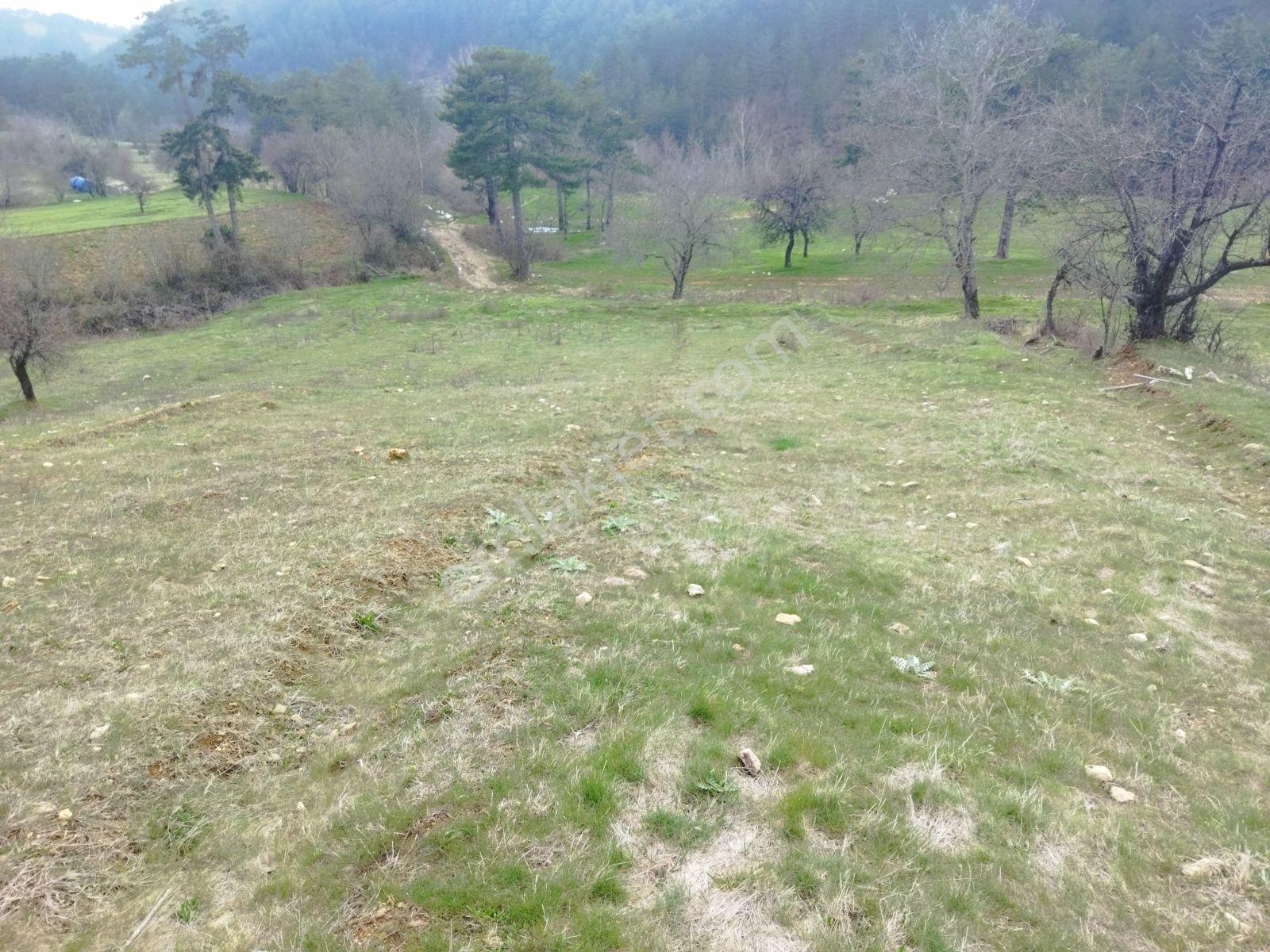 Osmangazi Büyükdeliller Köyünde Satılık 5.639 M2 Tarla - Görsel 6